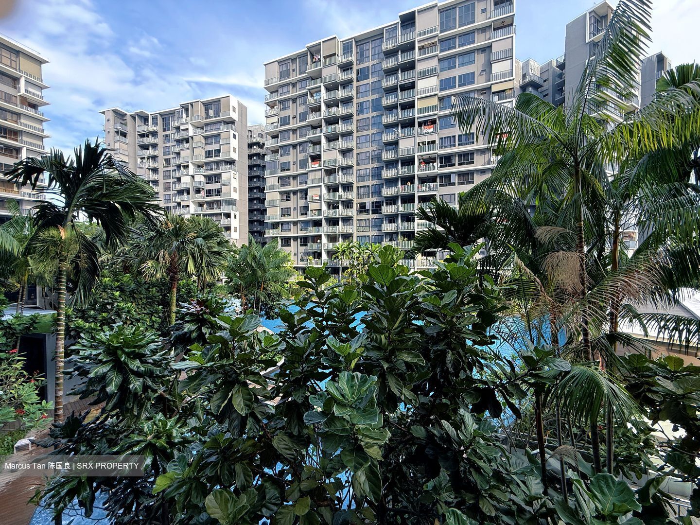 Grandeur Park Residences (D16), Condominium #596828421